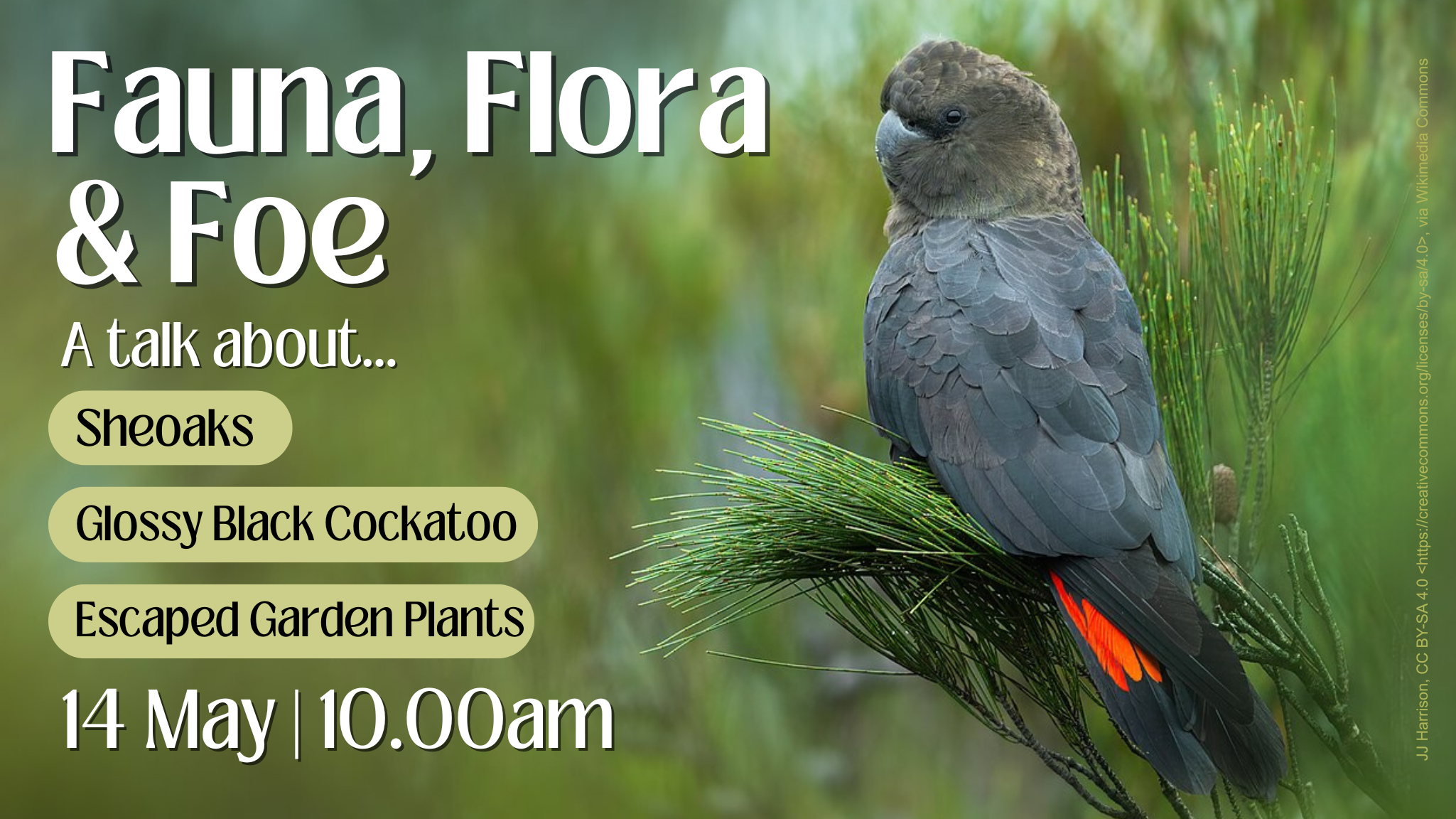 A Talk About: Fauna, Flora & Foe