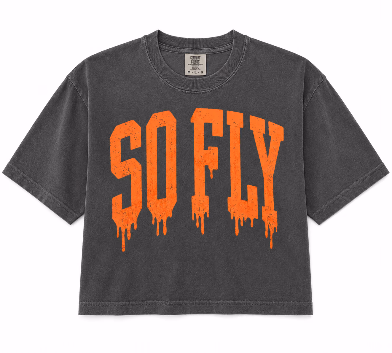 Studio Owner Pack - So Fly Spooky