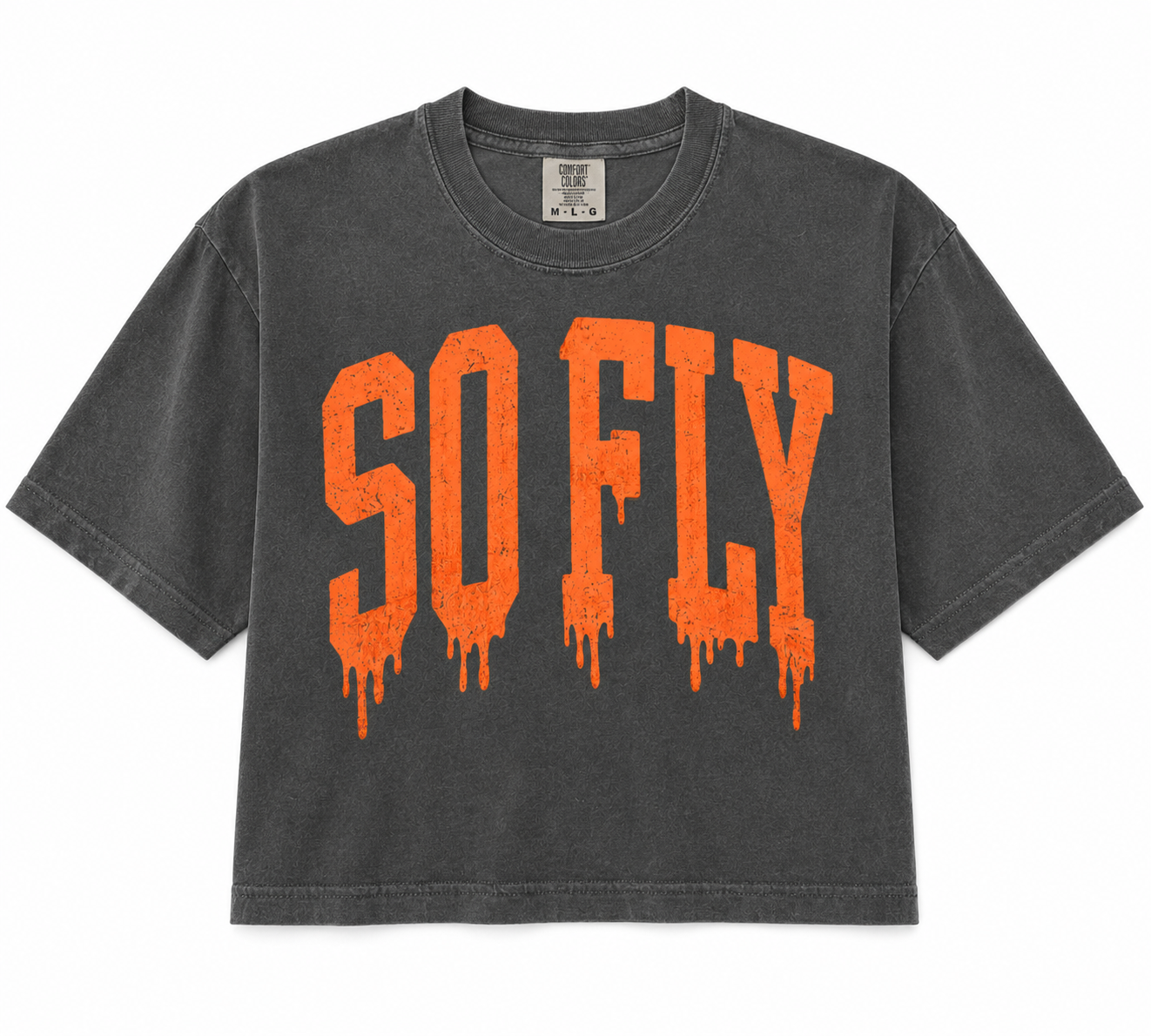 Studio Owner Pack - So Fly Spooky