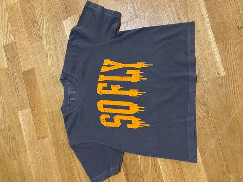 Comfort Colors Halloween Crop Tee