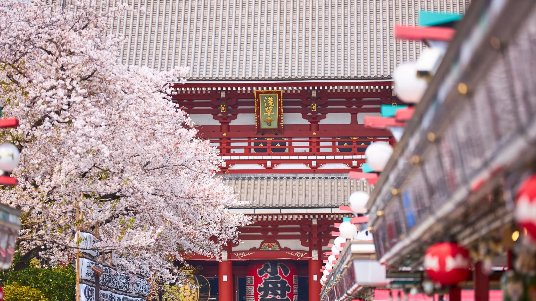 Japanese woman holding umbrella
