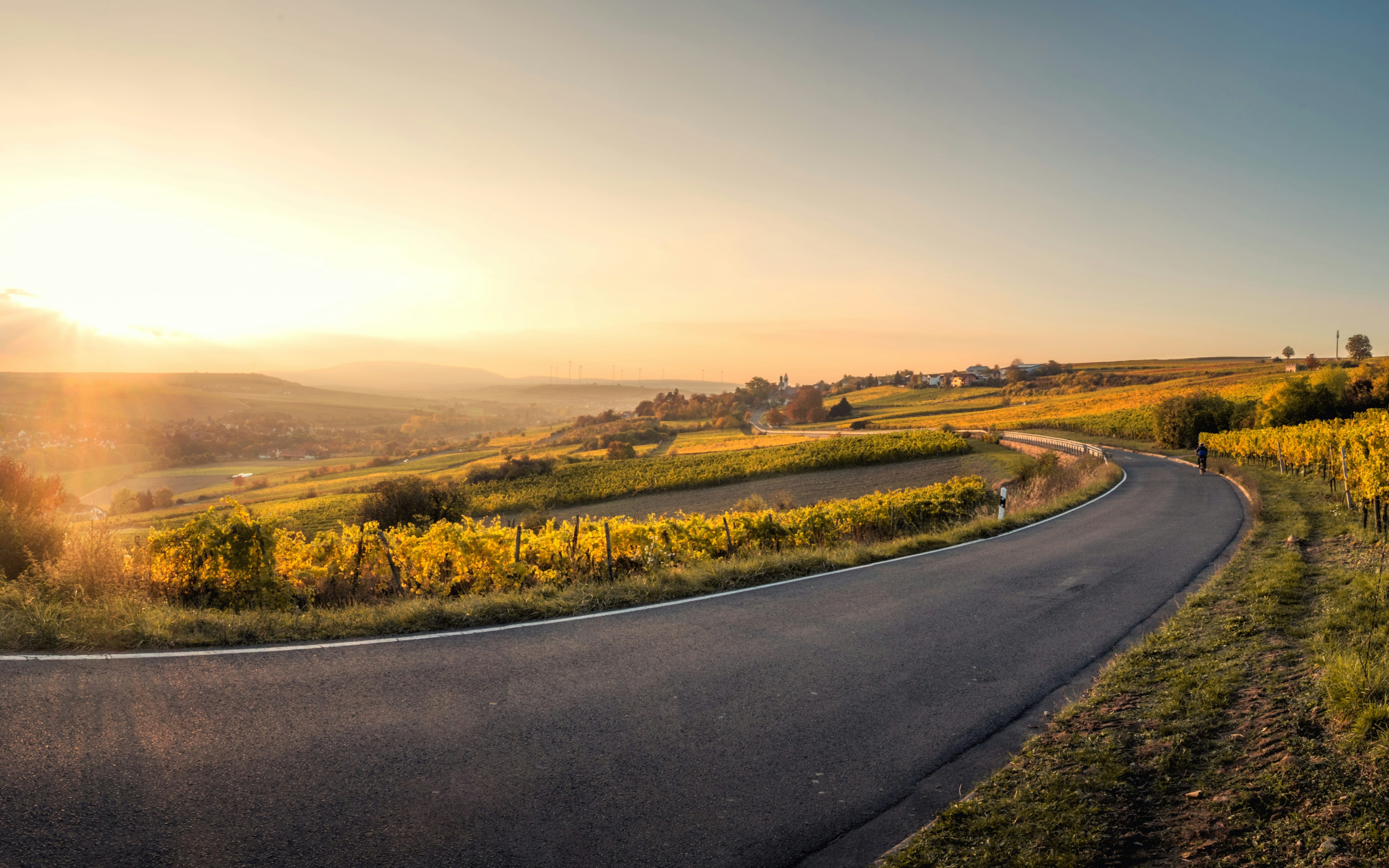 Road with the green nature around and sunshine