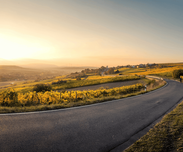 A road with the green nature