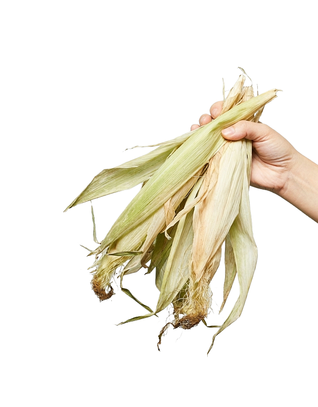 Hand holding apple core, food waste
