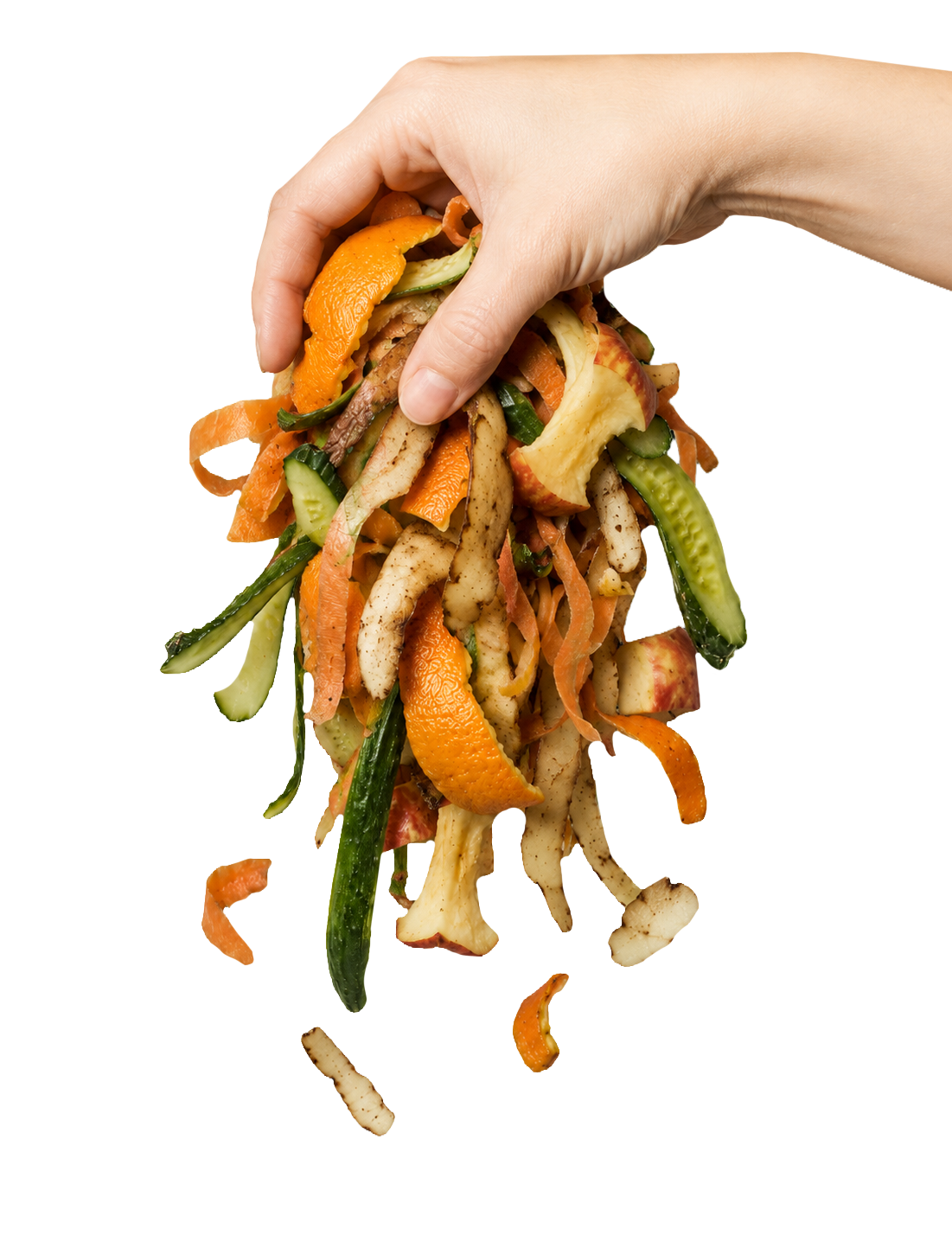 Hand holding apple core, food waste