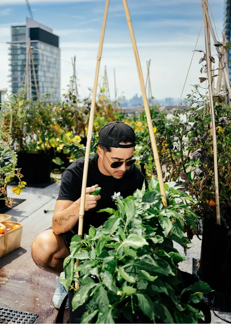 90 Sheppard Ave E