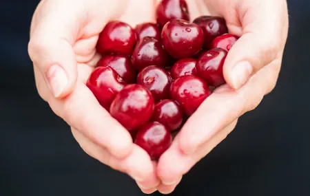 Hands full of cherries.