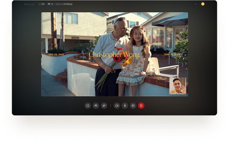 video example image