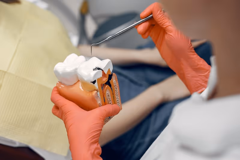 odontologo con un diente de muestra 