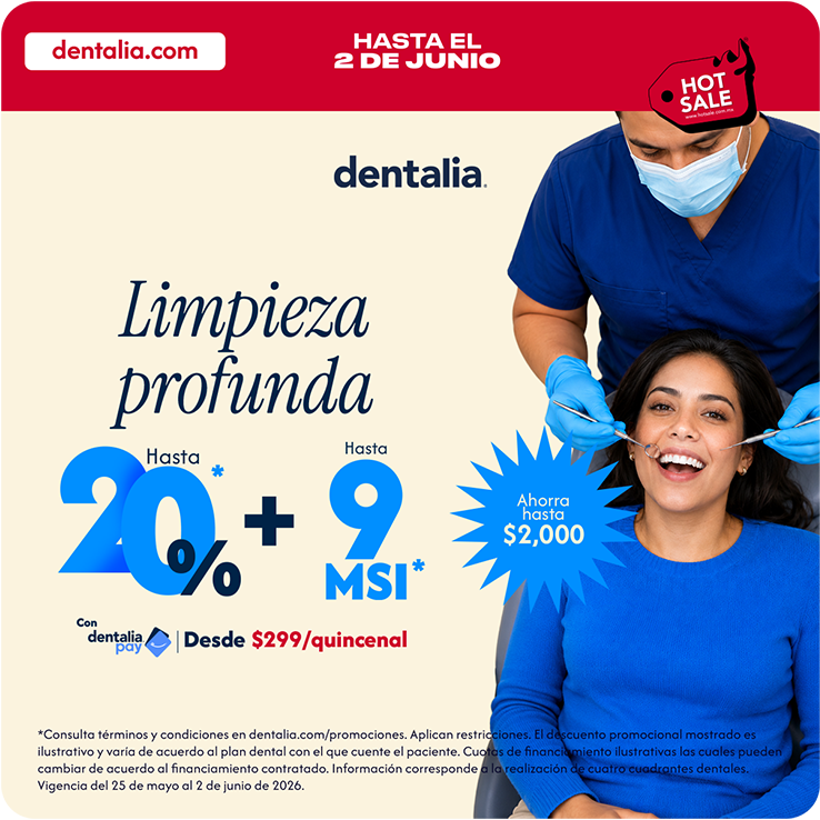 Limpieza Profunda
