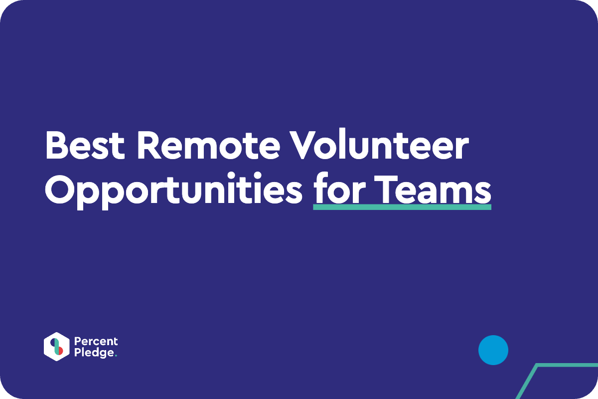 Best Remote Volunteer Opportunities for Teams
