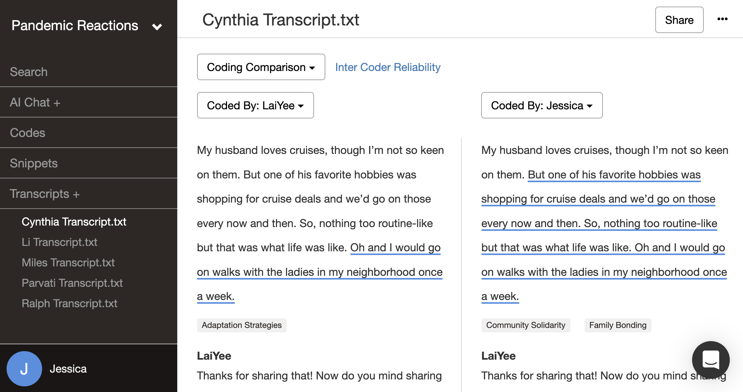 Qualitative Data Analysis Software | Delve