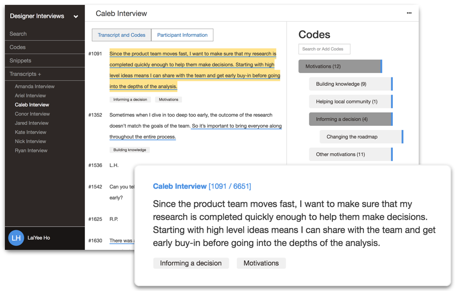 Introduction to Qualitative Coding with Delve — Delve