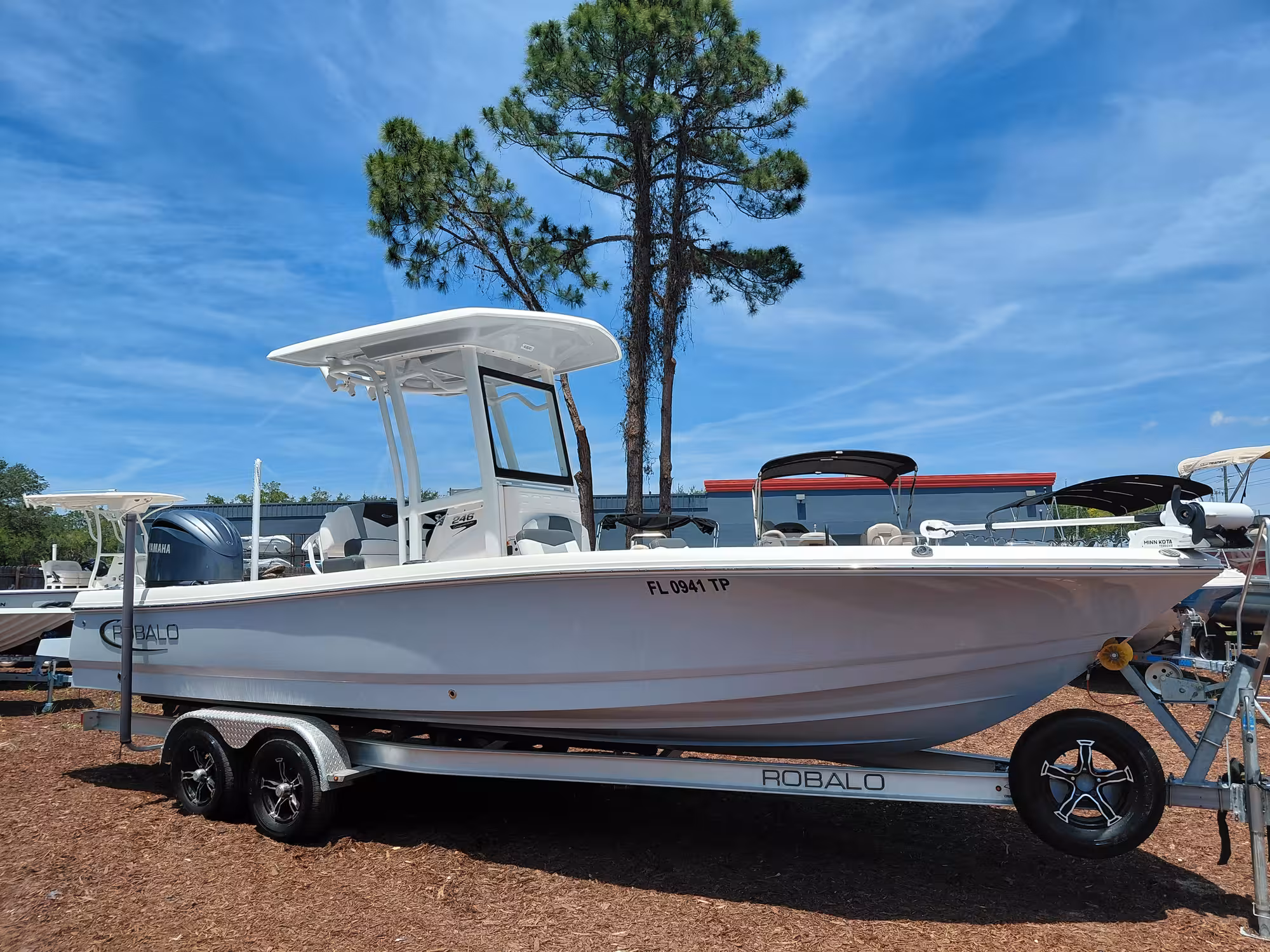 Cayman 246