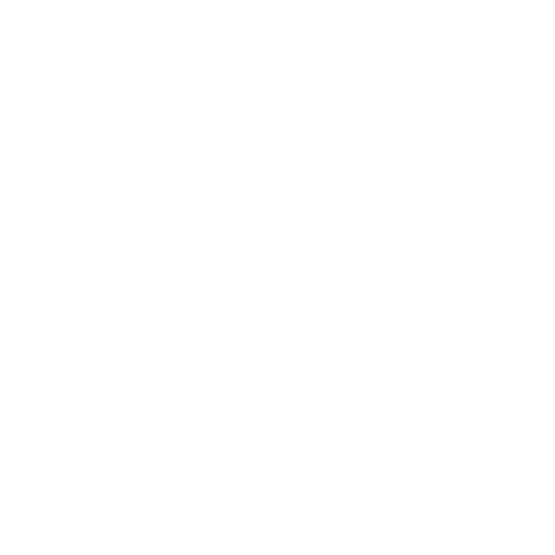 Icon of Loyalty Partner Program
