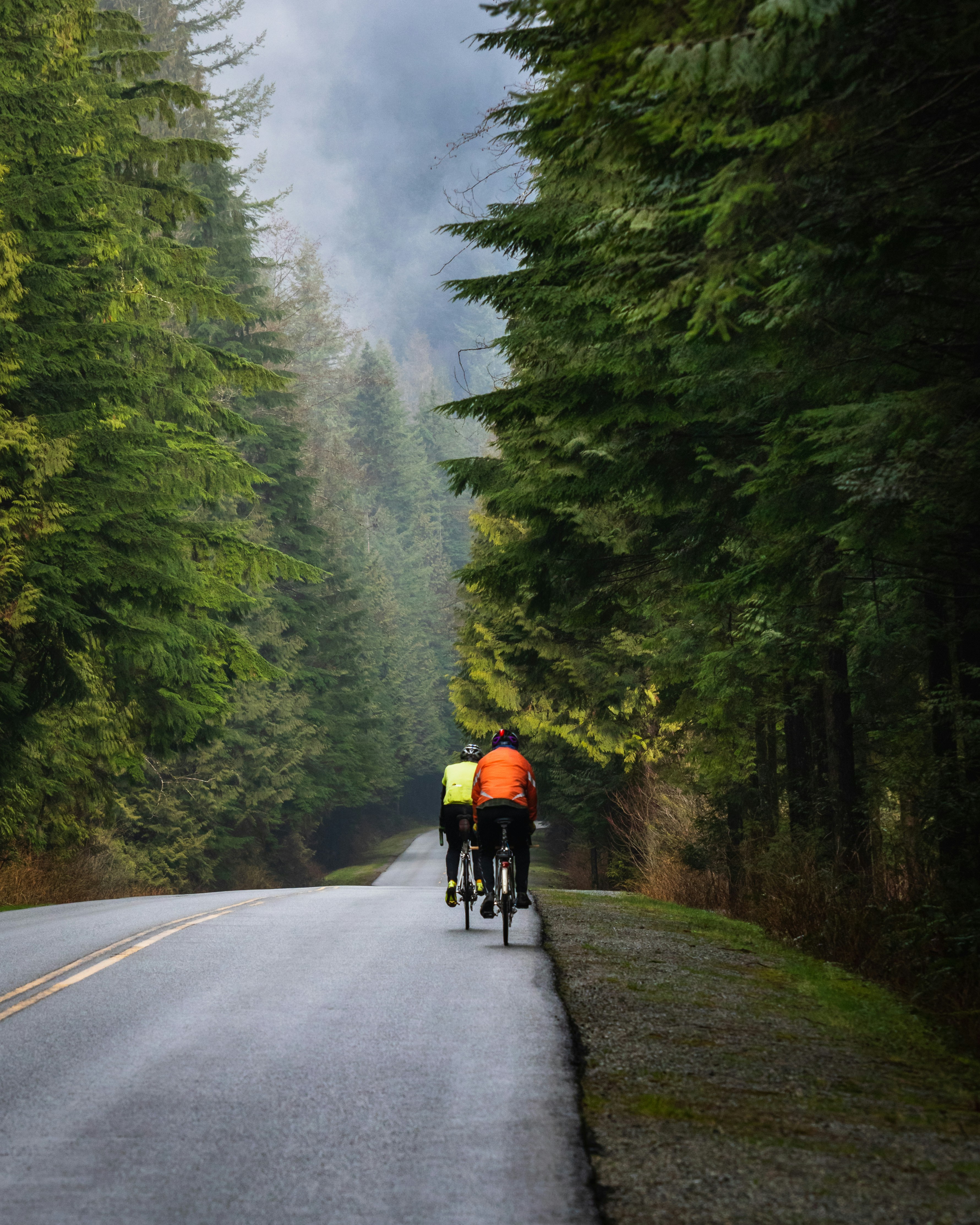 cycling in nature
