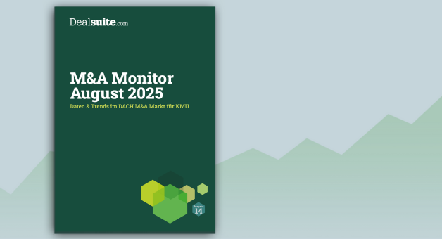 Read the article: M&A Monitor August 2024