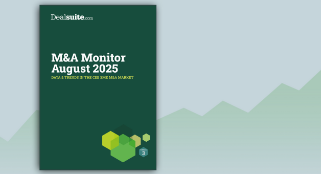 Read the article: M&A Monitor August 2024