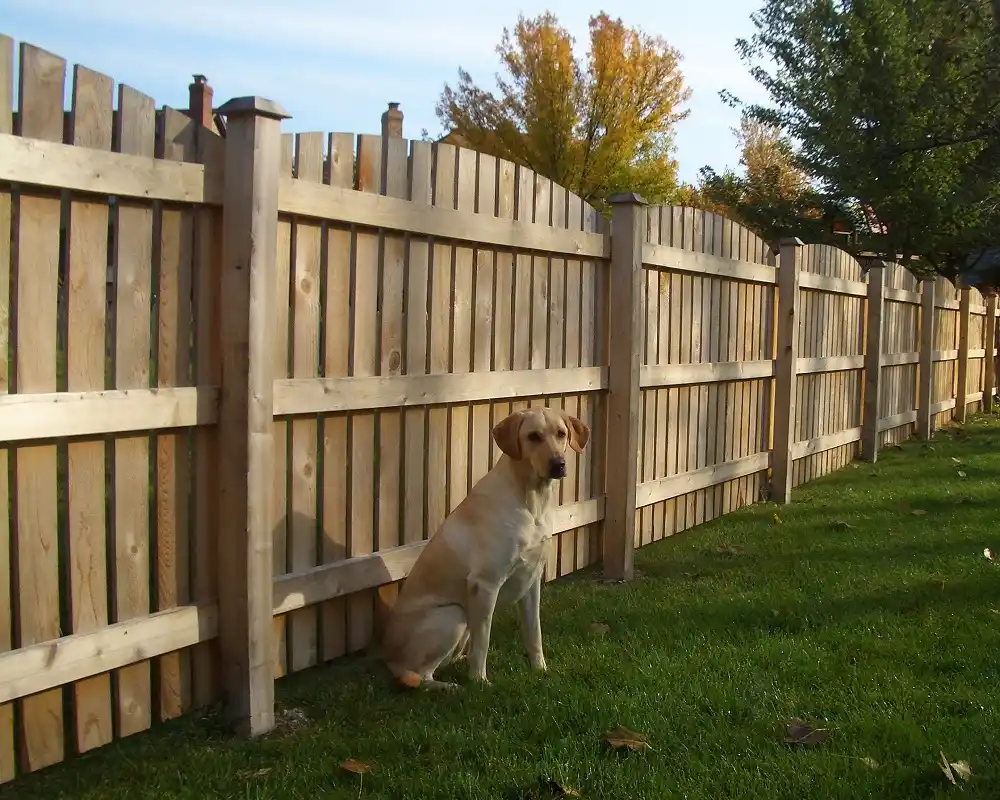 Specialized pet containment fence installation in Woodridge creating safe outdoor spaces for dogs of all sizes