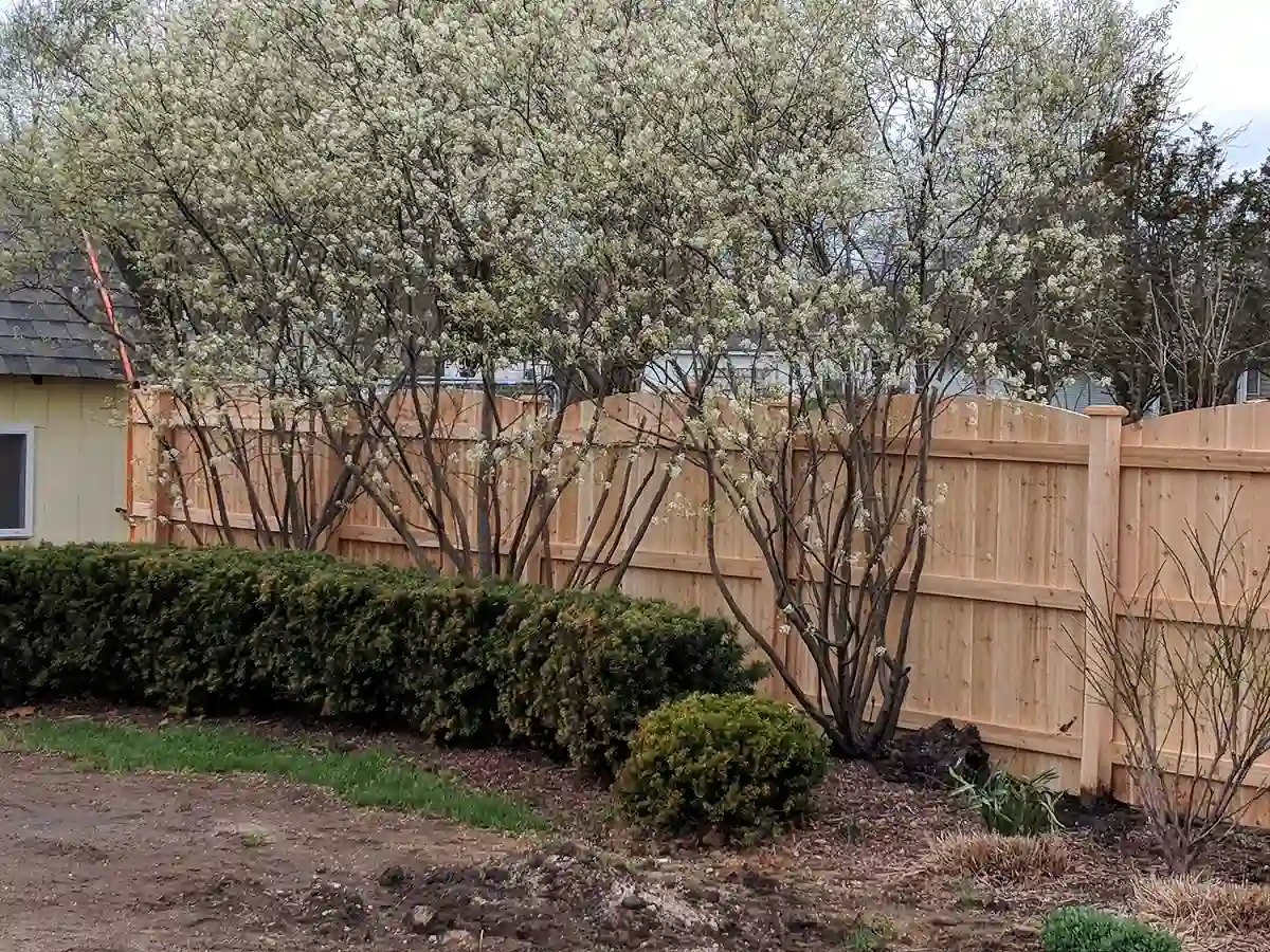 first photo of white beautiful fence