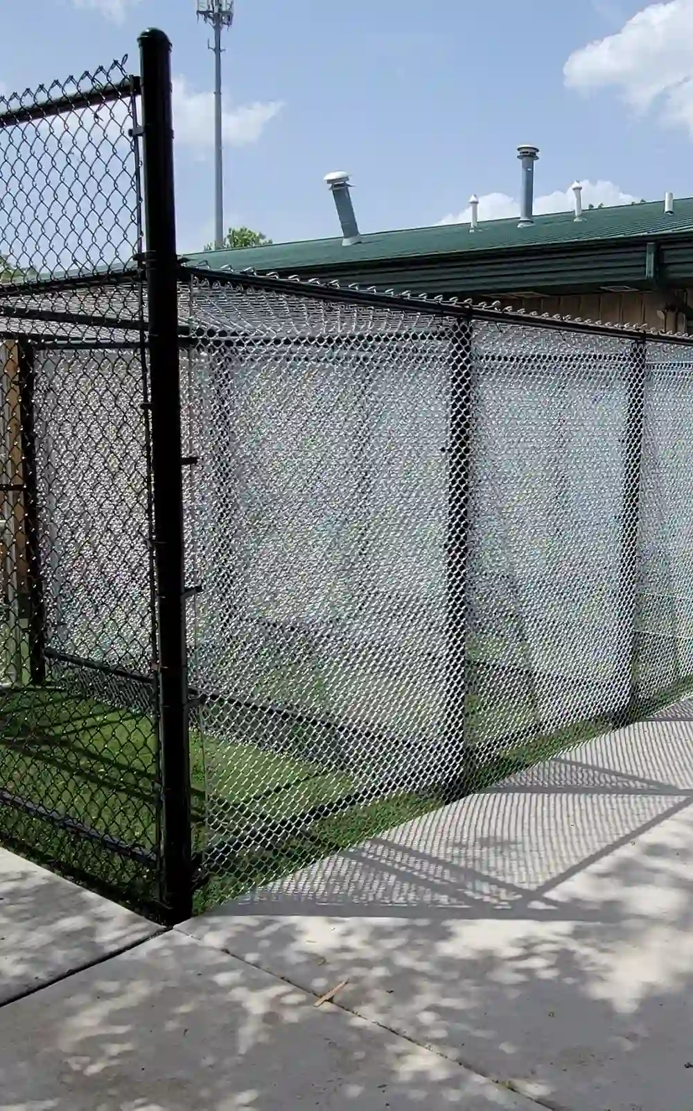 The dog is sitting near the new fence