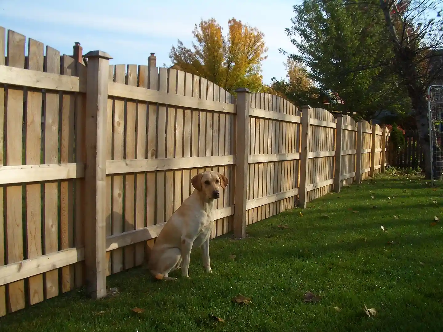 first photo of white beautiful fence