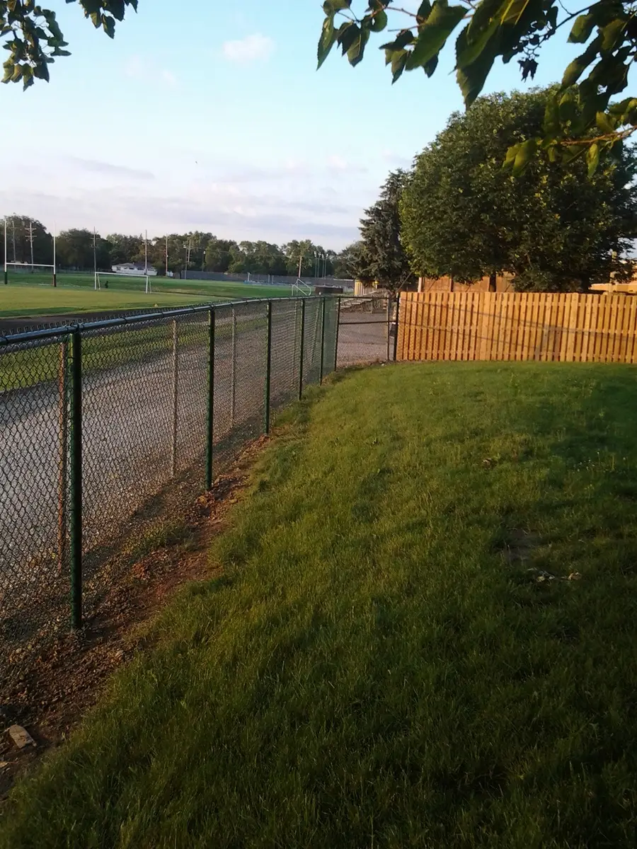  The dog is sitting near the new fence