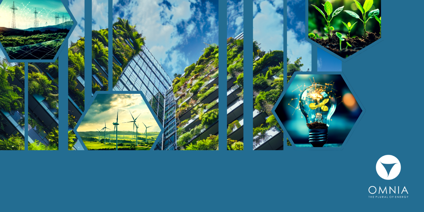 Georgian Power Market Annual Report, 2024