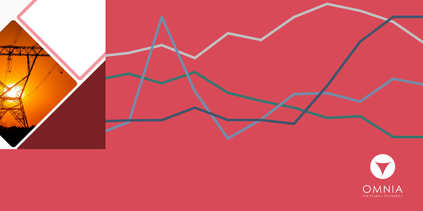 Georgian Power Market Report, January 2026