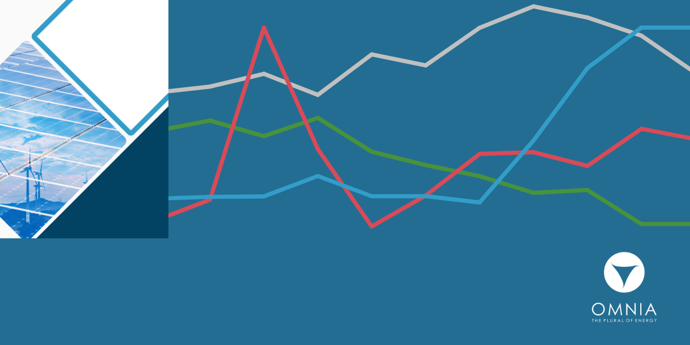 Georgian Power Market Report, February 2026