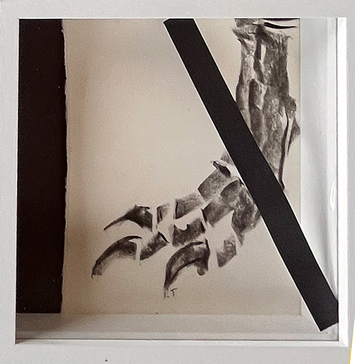 Foot image by artist, Kate Taverna