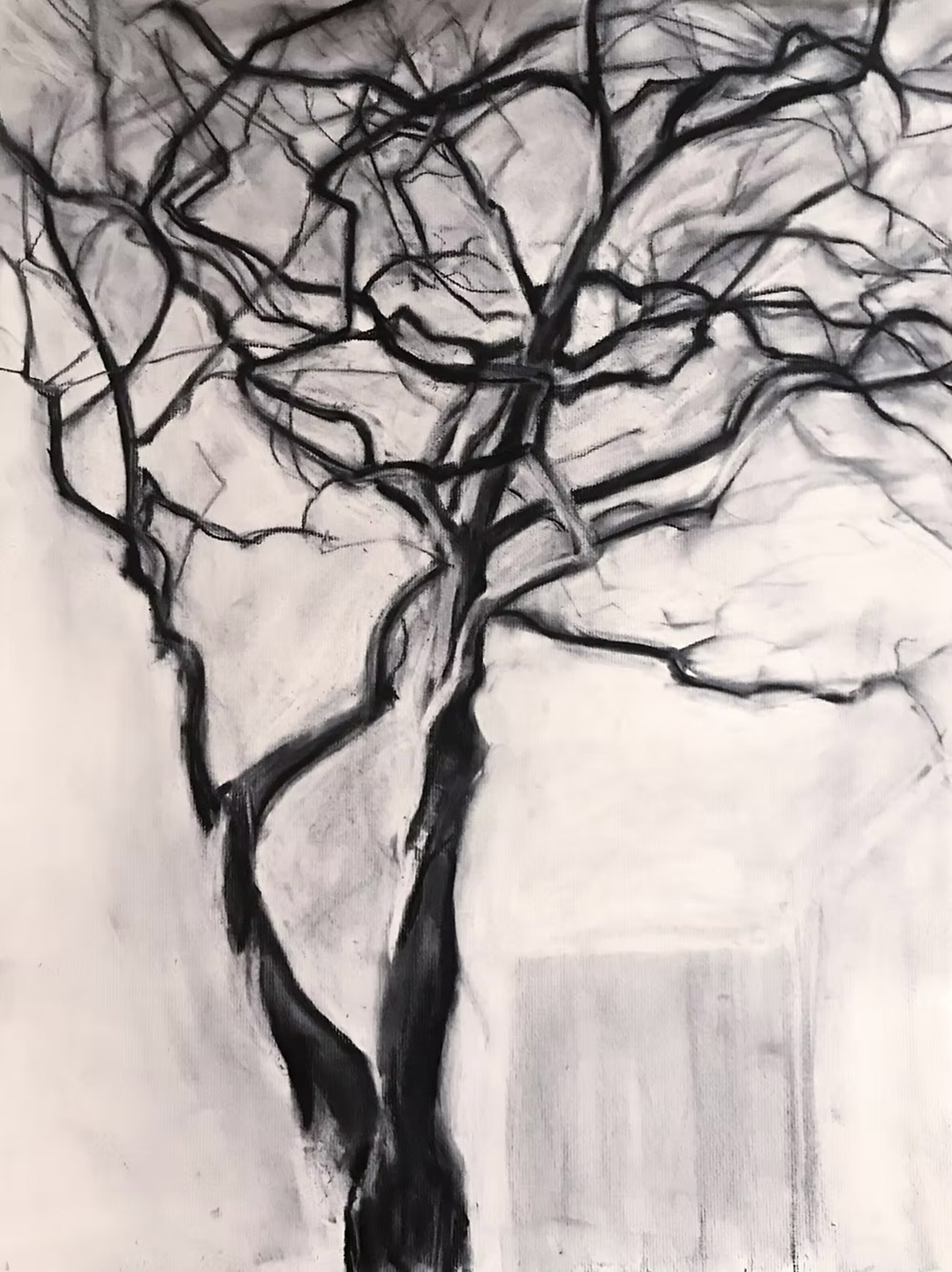 Rendering in charcoal