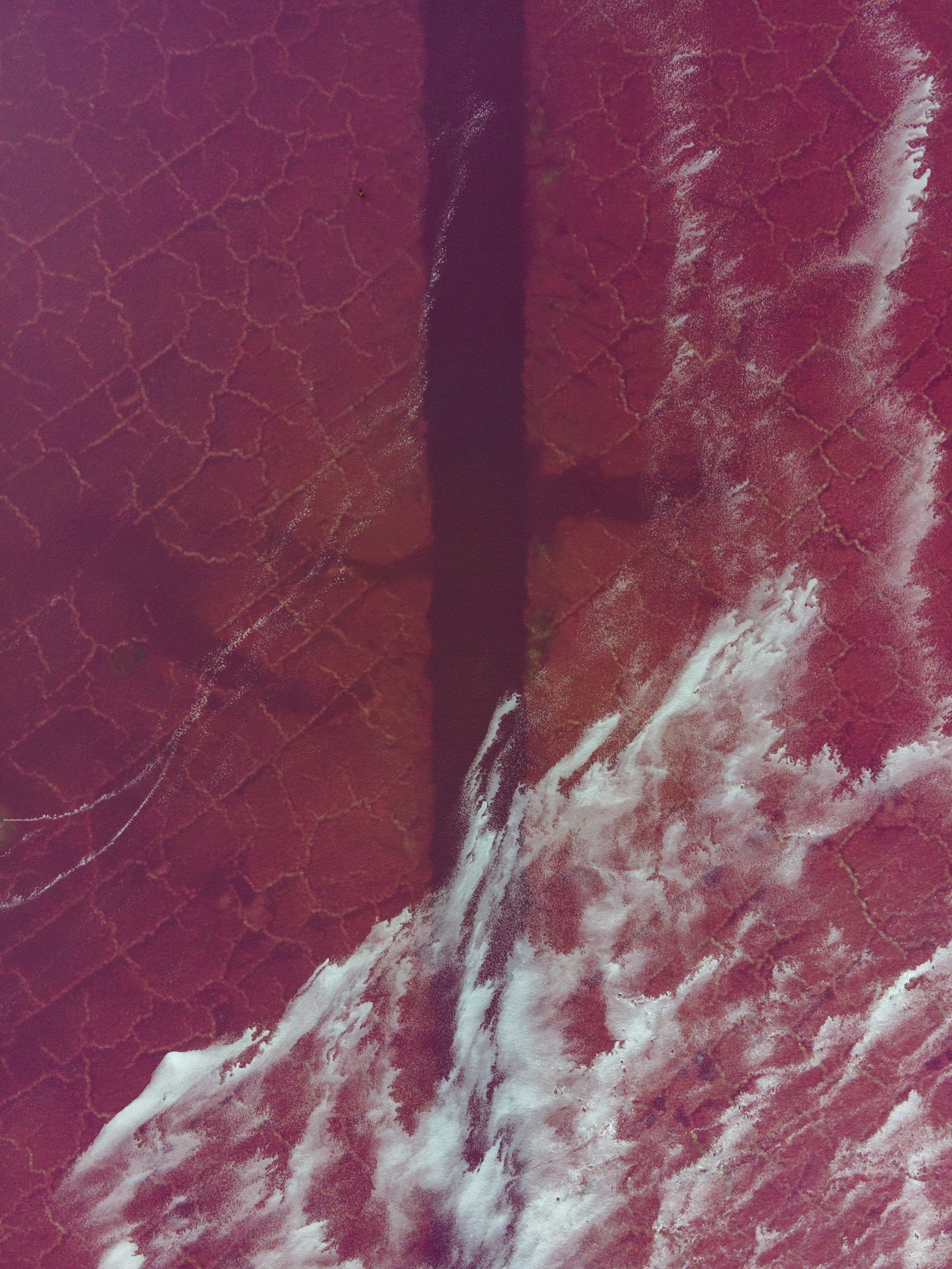Behrens Trench, Great Salt Lake, Pink Water