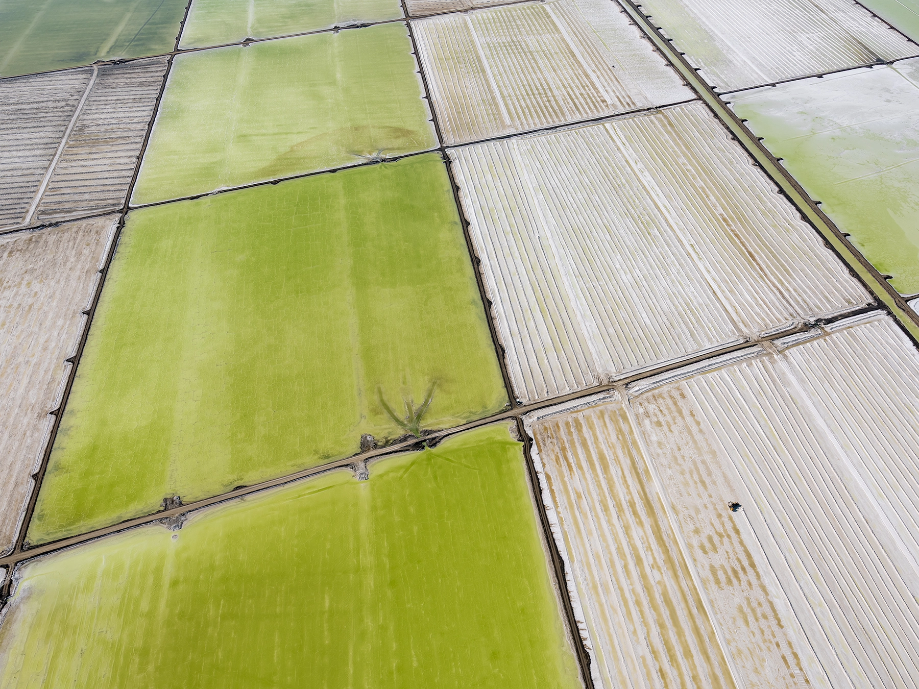Aerial view of Compass Minerals solar evaporation ponds at the Great Salt Lake, showing geometric patterns of colorful mineral extraction ponds, levees, and industrial infrastructure impacting the lake's ecology.