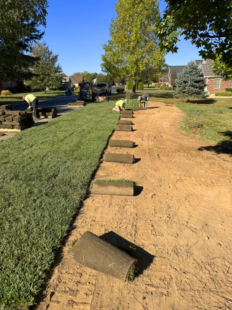 Workers laying rolls of sod on prepared soil in a residential yard on a sunny day.