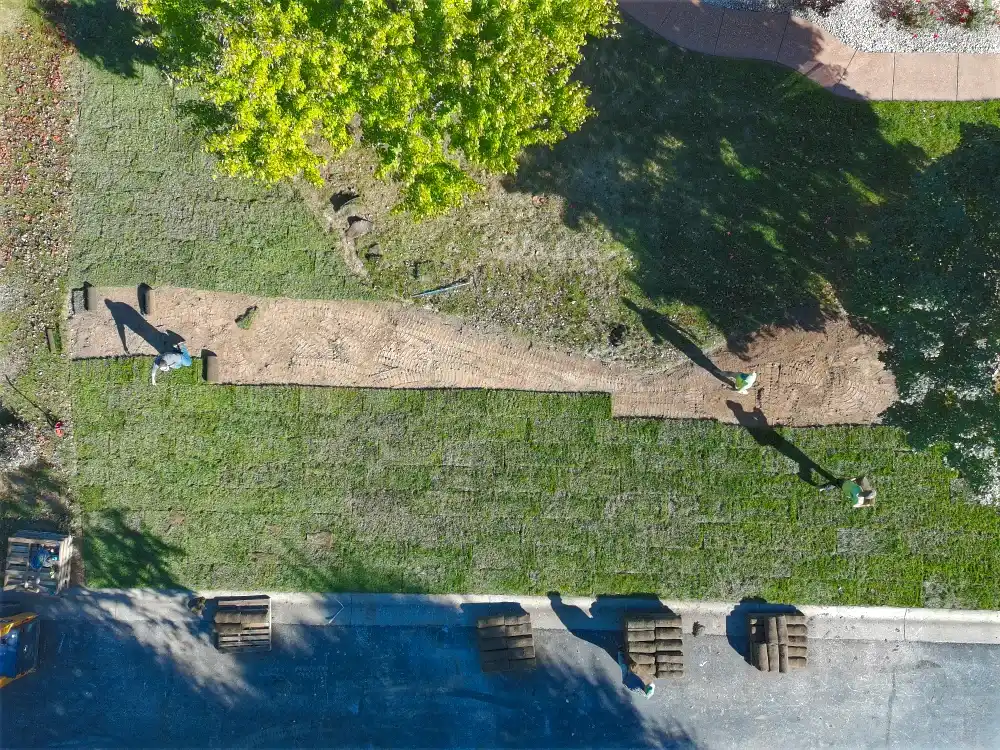 Aerial view of workers laying sod on a residential lawn with green grass and a tree nearby.