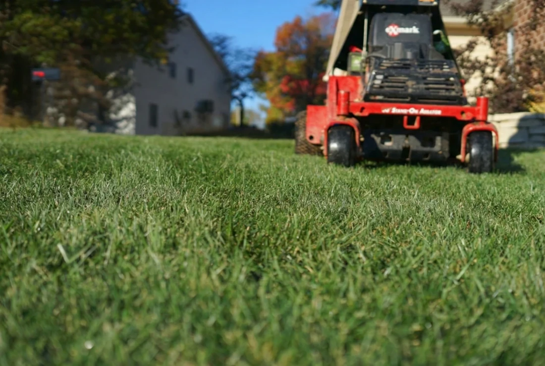 Close-up of green lawn grass with a red lawn aeration machine in the background near houses.