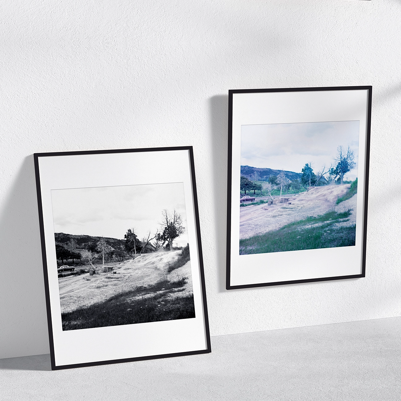 Mammoth landscape shown in color and black-and-white framed prints, highlighting the layered mineral terraces, dry trees, and rolling terrain of Yellowstone.