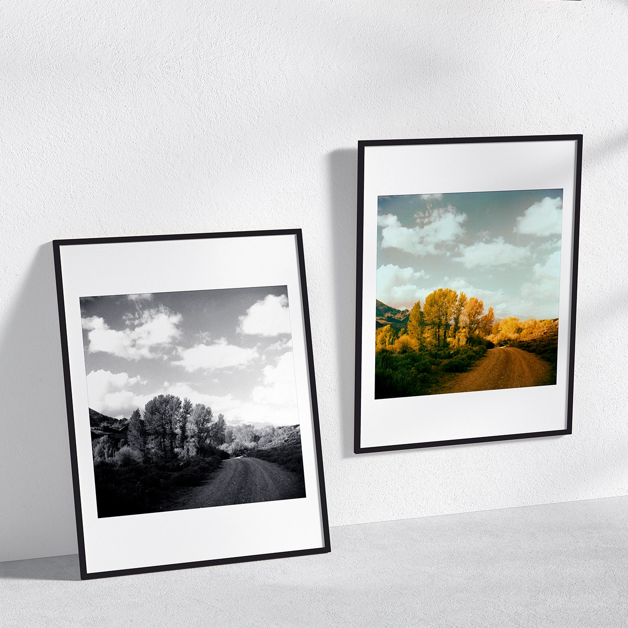 Sun Valley T60 landscape photograph shown side-by-side in color and black-and-white framed editions, highlighting autumn light, texture, and depth.