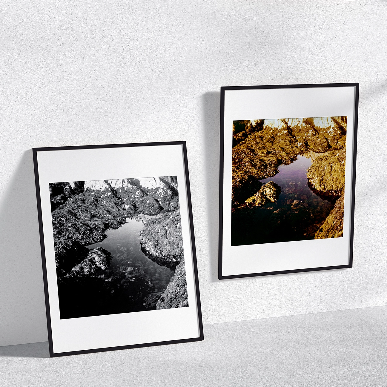 Two framed “Tide Pool” prints—one black-and-white and one color—shown in a clean wall mockup.