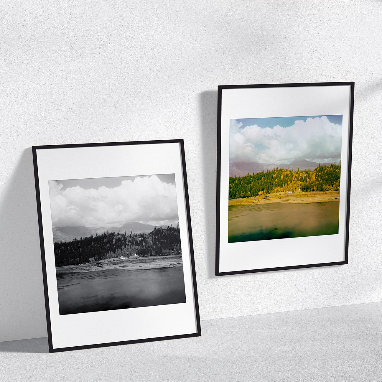 Two framed prints of “Columbia River Logs” in black and white and color, leaning side by side against a white wall.