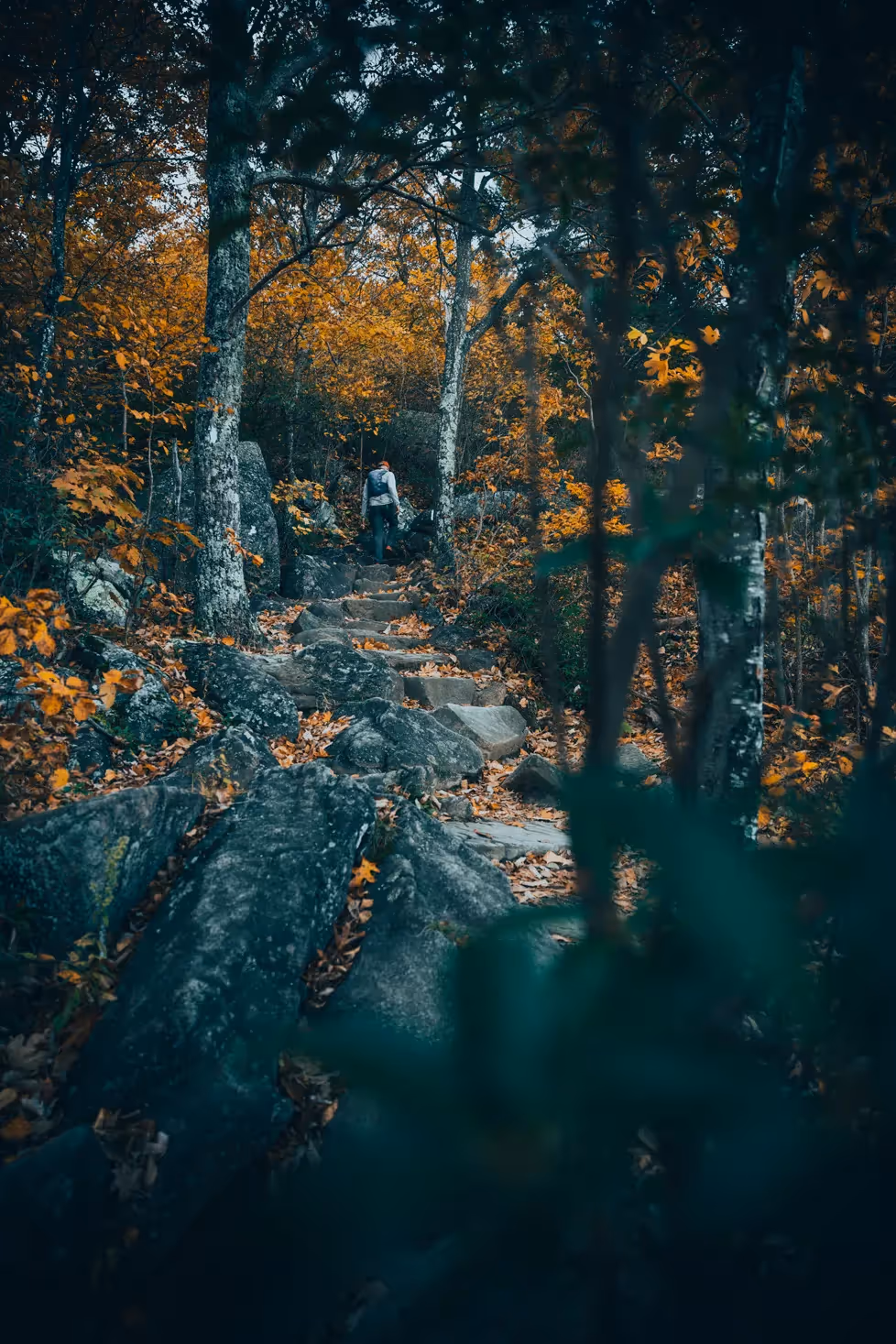 Person hiking up rocky path in the fall at Old Rag