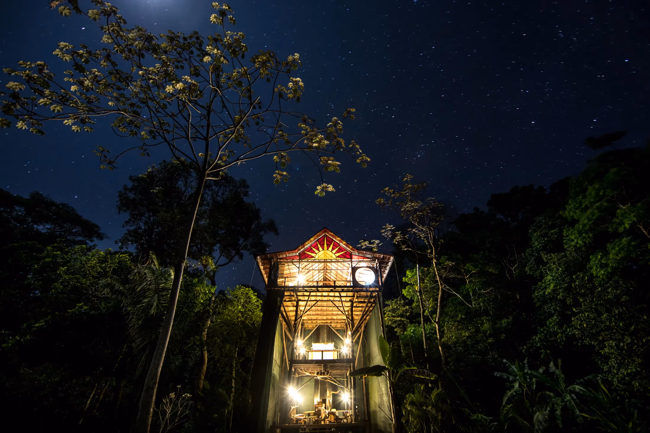 Treehouse lit up at night under a starry sky