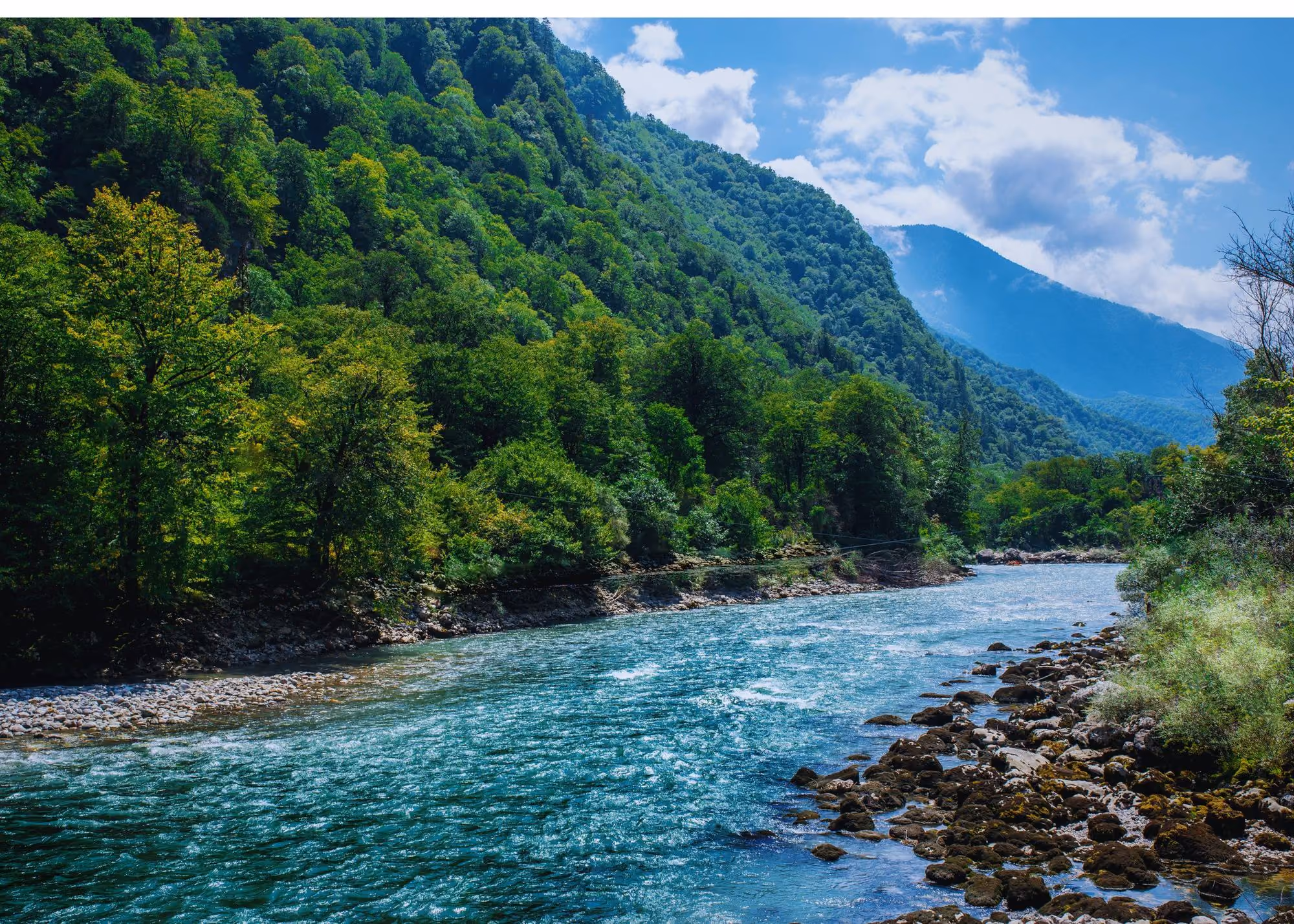 River running through a forested valley