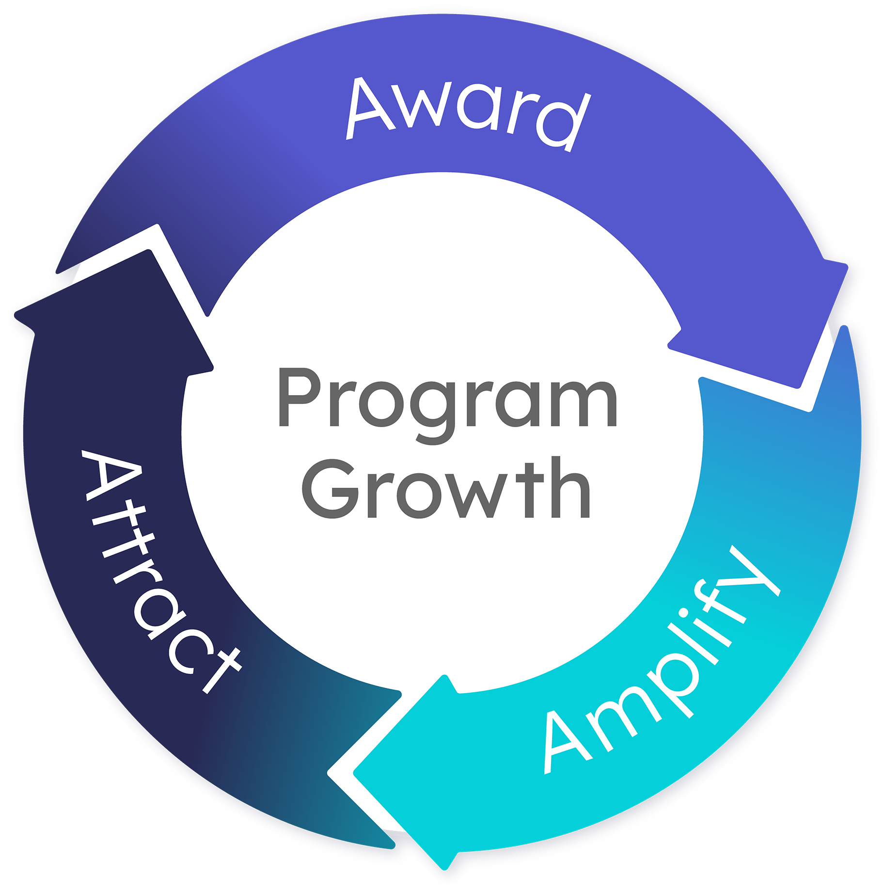 Accredible Credential Flywheel diagram showing three stages of program growth: Award, Amplify, and Attract