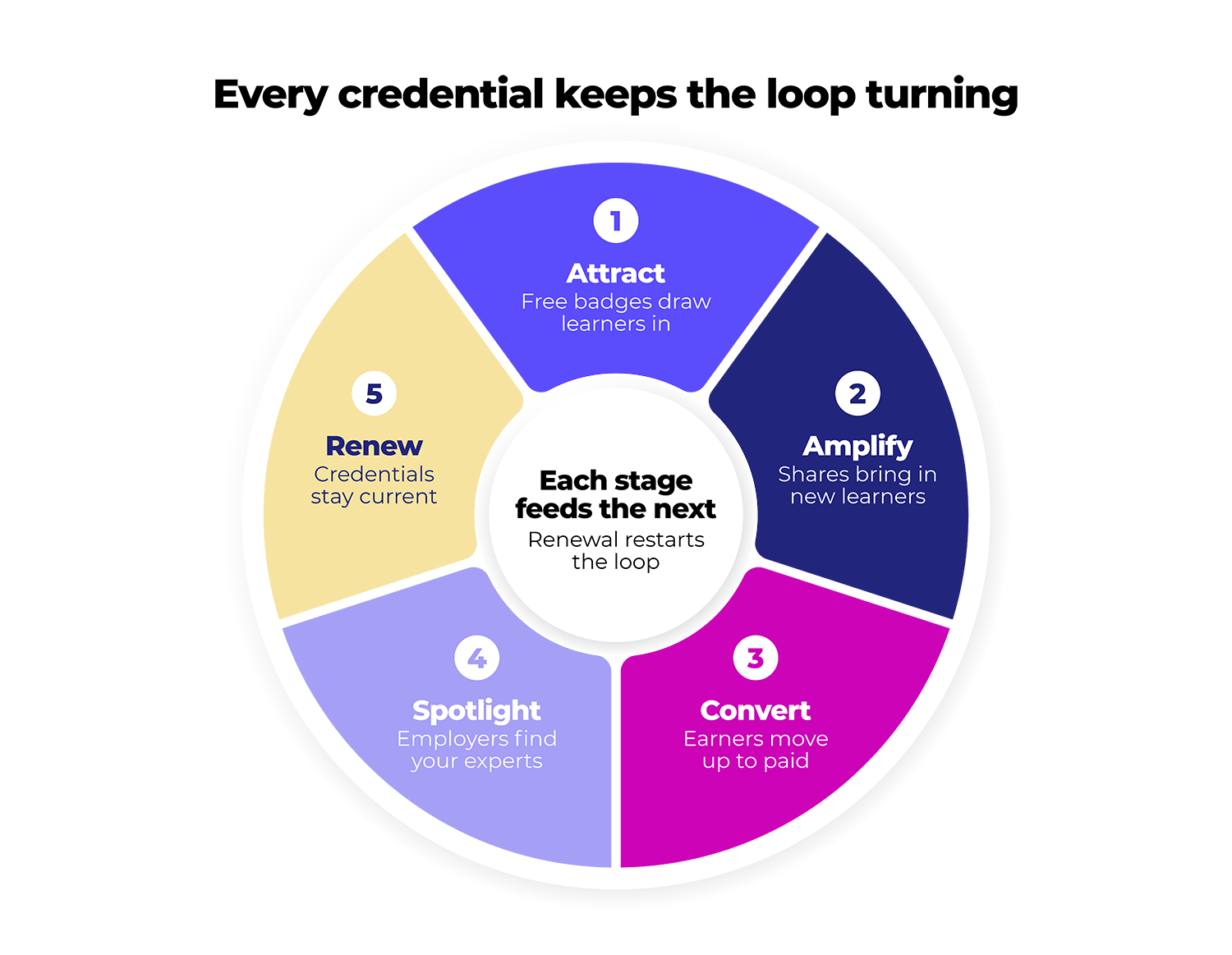 Circular diagram titled "Every credential keeps the loop turning," divided into five colored segments: Attract (free badges draw learners in), Amplify (shares bring in new learners), Convert (earners move up to paid), Spotlight (employers find your experts), and Renew (credentials stay current), with the center reading "Each stage feeds the next — Renewal restarts the loop."