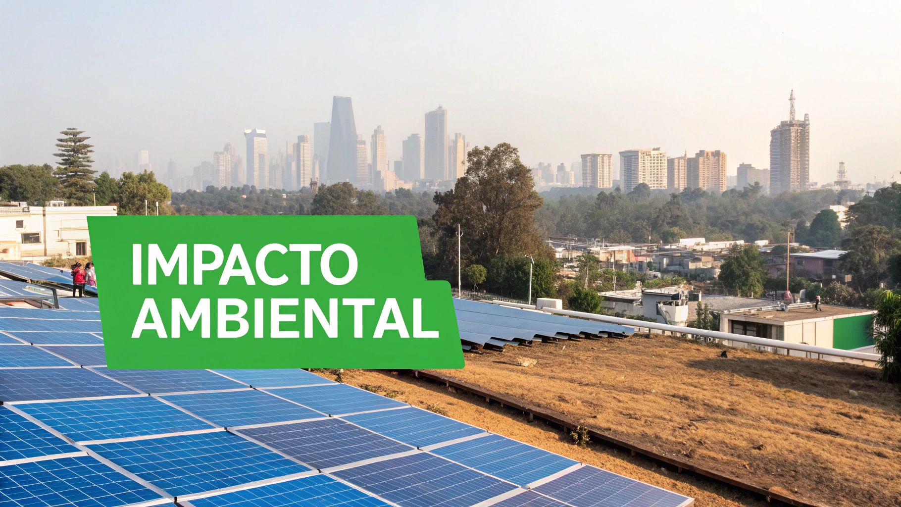 Impacto Ambiental en México: Causas y Soluciones Sostenibles