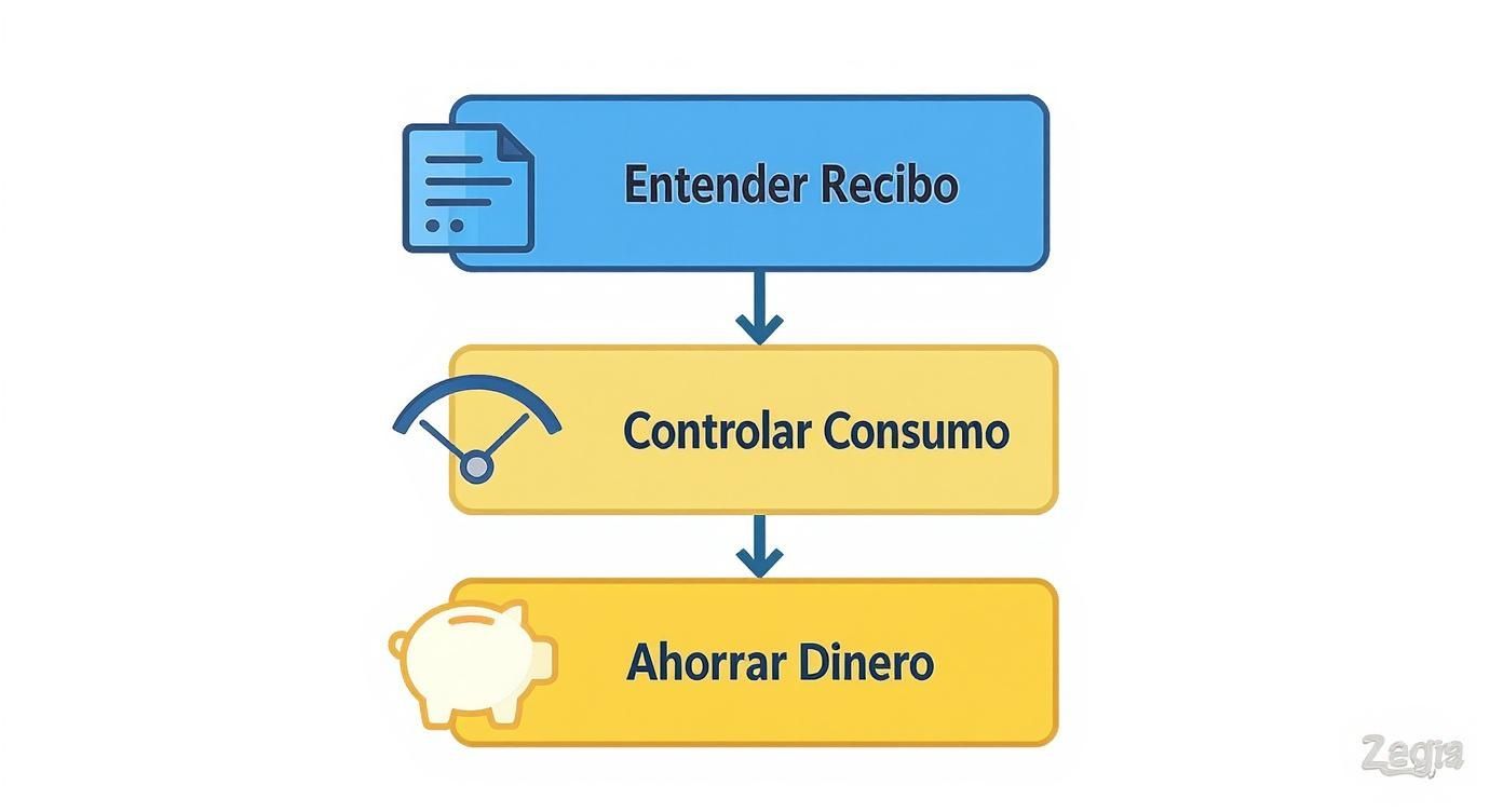 Infografía sobre el control de gastos de luz, mostrando los pasos para entender el recibo, controlar el consumo y ahorrar dinero.
