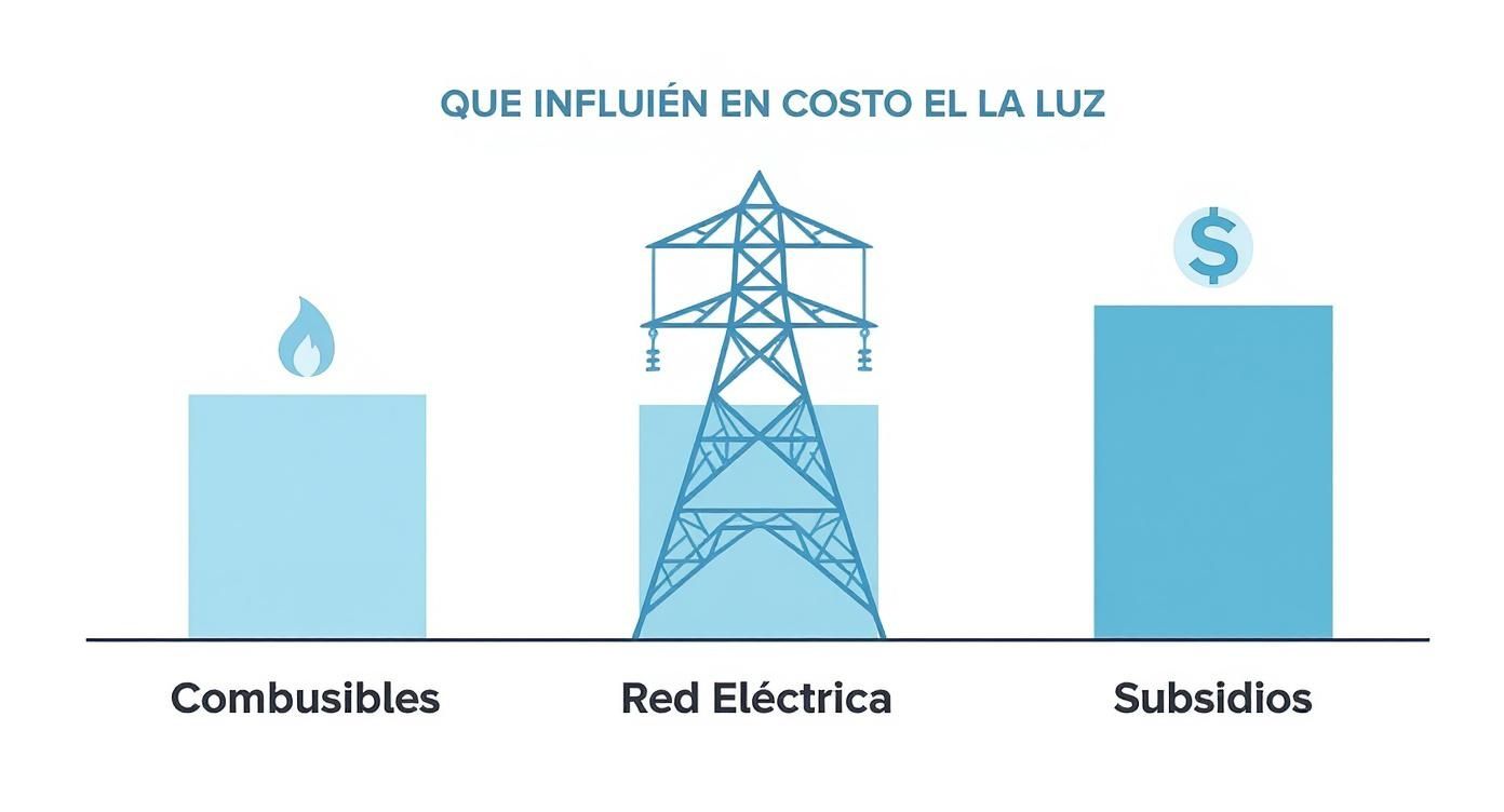 Infografía mostrando factores que influyen en el costo de la luz: combustibles, red eléctrica y subsidios
