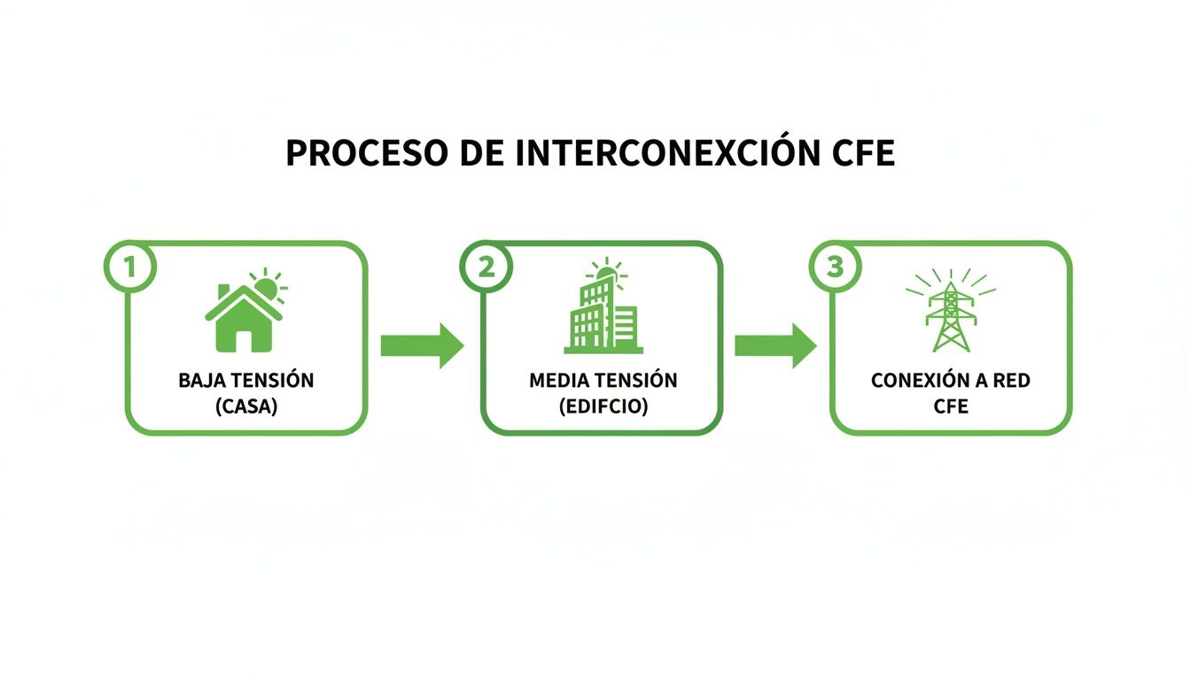 Diagrama del proceso de interconexión CFE mostrando los pasos de baja y media tensión hasta la conexión a la red.